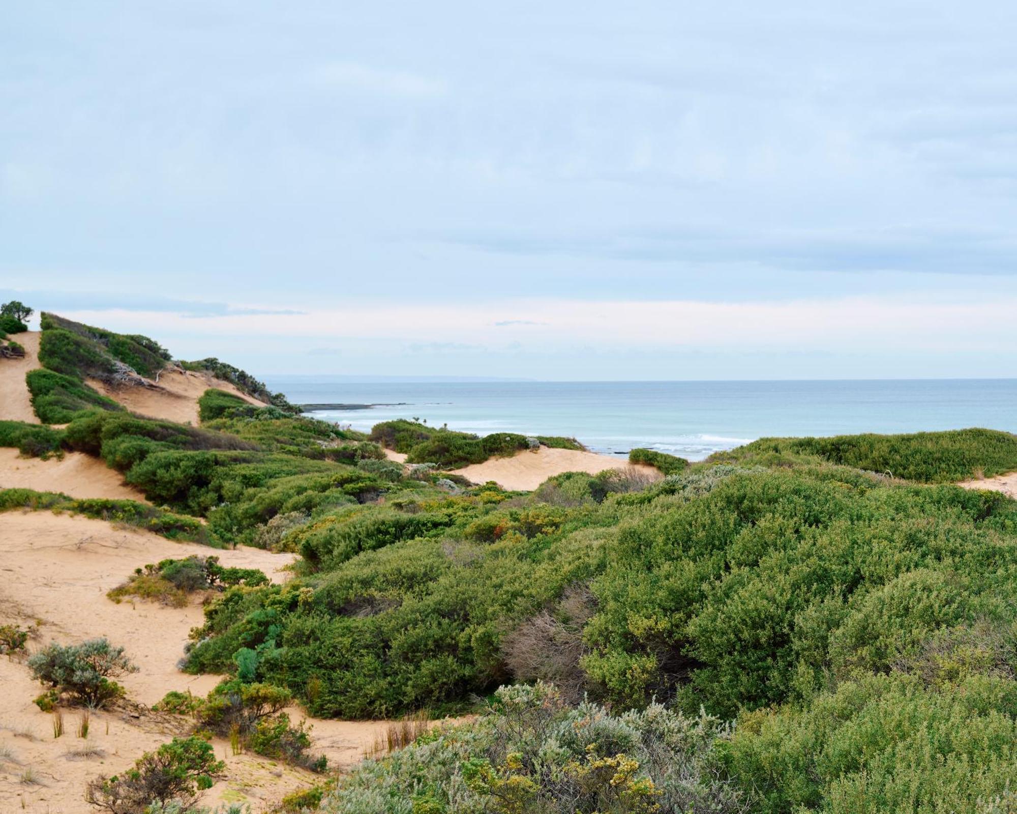 Lon Retreat Hotel Point Lonsdale Eksteriør billede